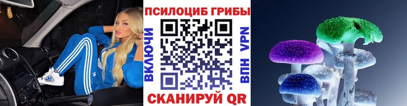 где можно купить   Никольск  Галлюциногенные грибы GOLDEN TEACHER 
